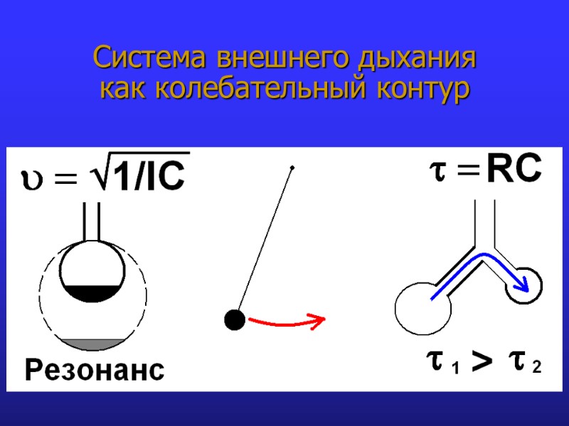 Система внешнего дыхания  как колебательный контур